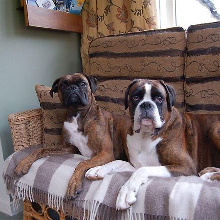 Drynachan Bed & Breakfast Inverness Luaran gambar
