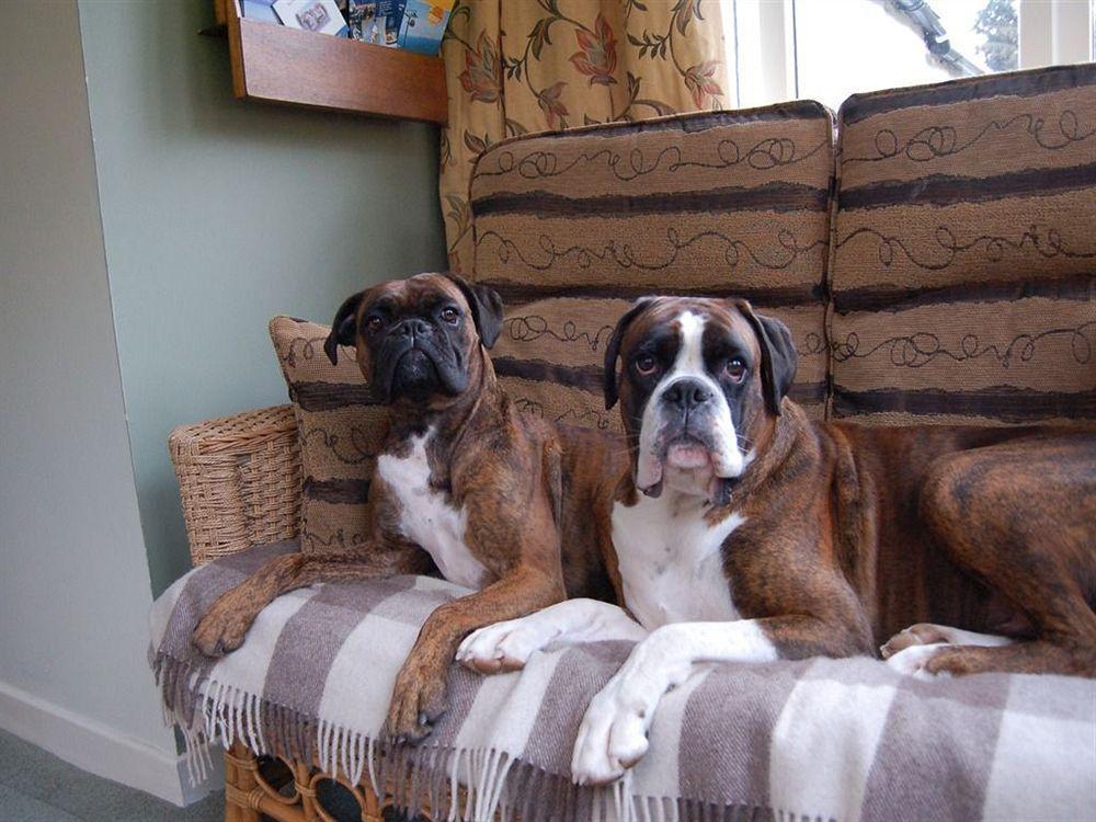Drynachan Bed & Breakfast Inverness Luaran gambar